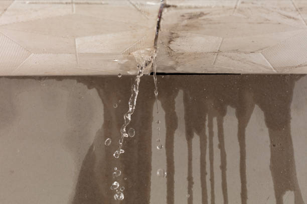 Professional Flood Damage Cleanup technician working in Budd Lake, NJ